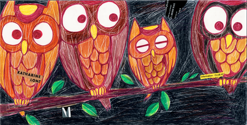 Owl